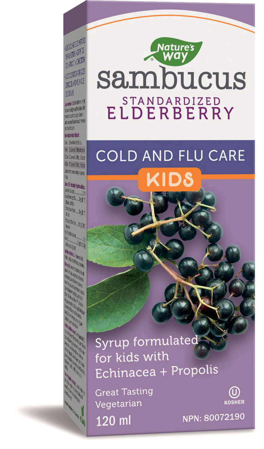 Nature's Way Sambucus Standardized Elderberry, Cold And Flu Care, Kids, Formulated With Echinacea + Propolis, Great Tasting, Vegetarian - 120 mL